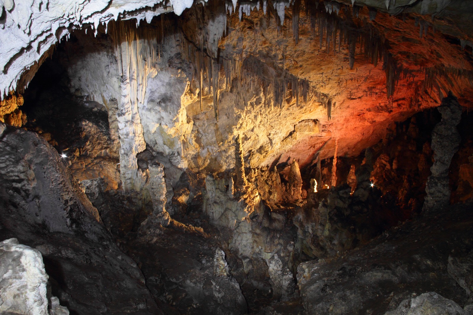 La Grotta del Lauro e le scoperte entomologiche